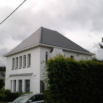 Meise