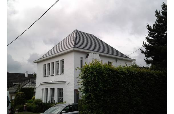 Meise - 0