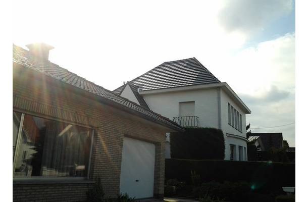 Meise - 1