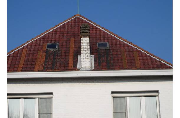 Meise - 2