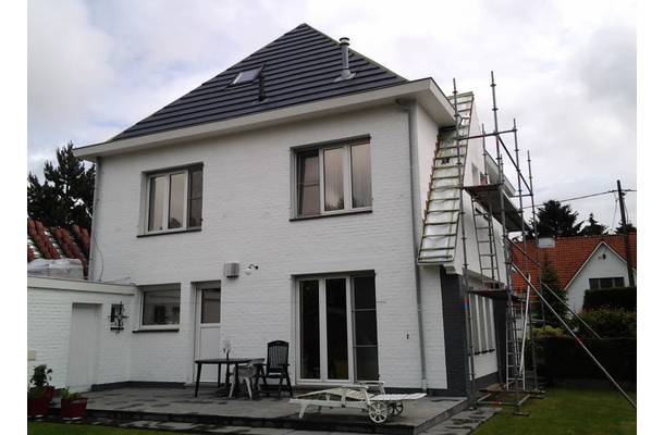 Meise - 4