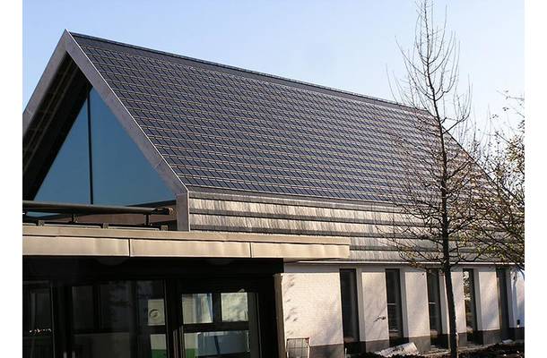 Kudelstaart - 2