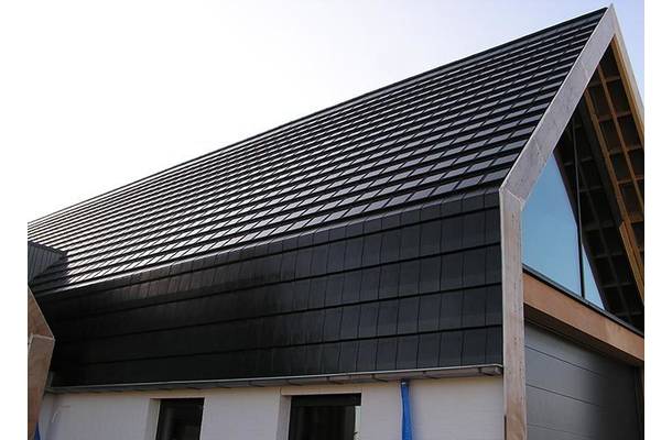 Kudelstaart - 3