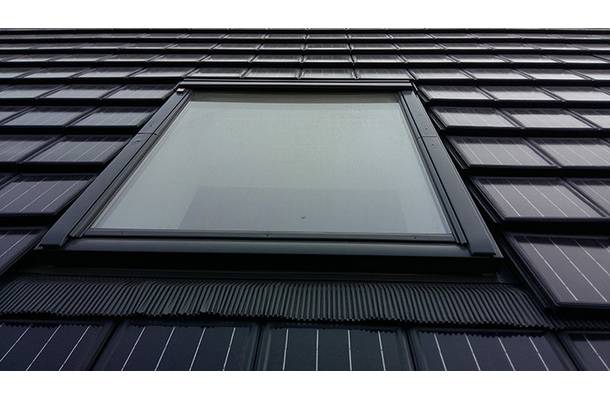 Kudelstaart - 2