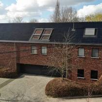 Waarloos